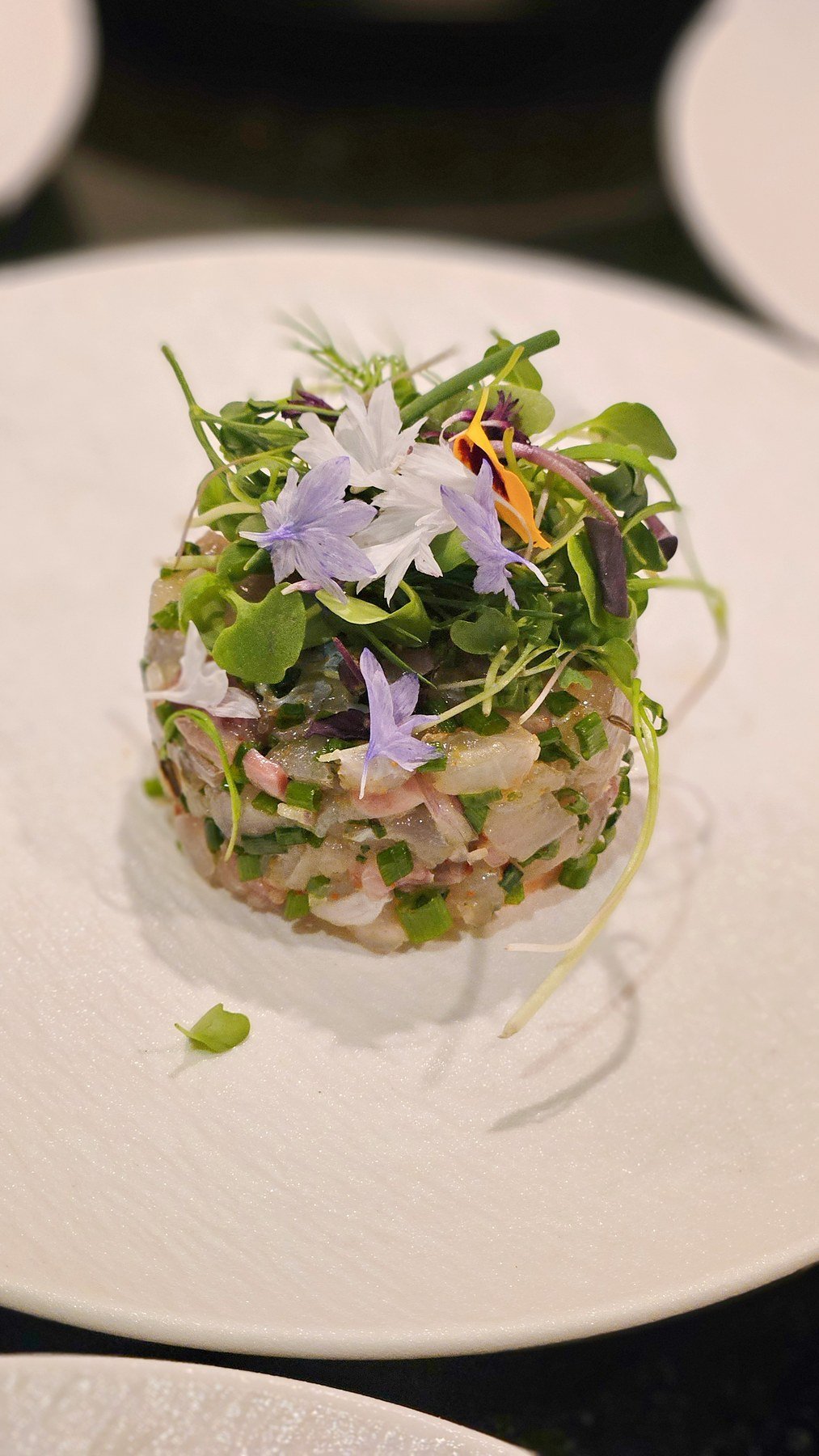 Composed starter with seasonal vegetables and fresh leaves.